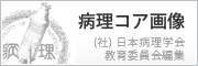 (社) 日本病理学会 教育委員会編集　病理コア画像