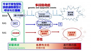 NIFTと甲状腺腫瘍発生モデル